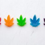 Edible THC Treats